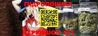 spice Дмитров