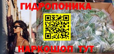 a pvp Долгопрудный