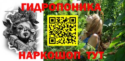 a pvp Долгопрудный