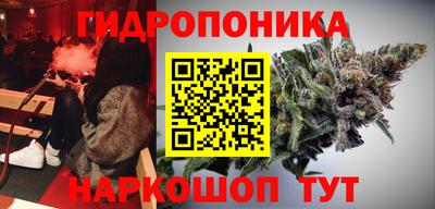 a pvp Долгопрудный